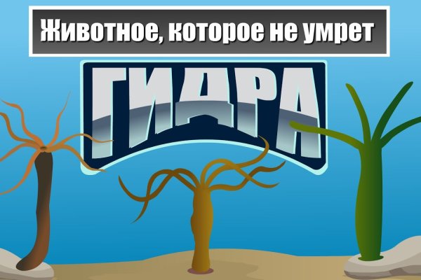 Сайты наркоты