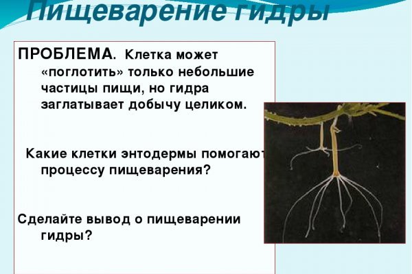Сайт кракен россия