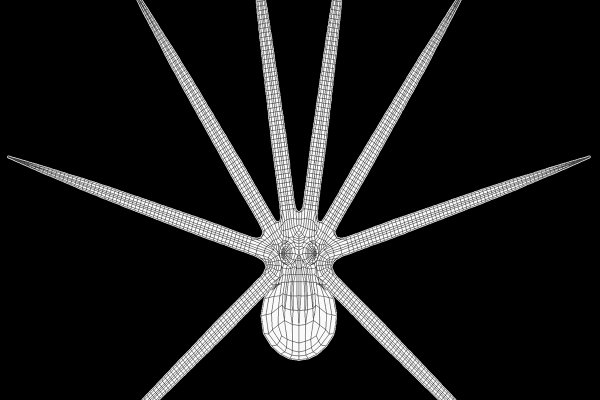 Kraken 13at