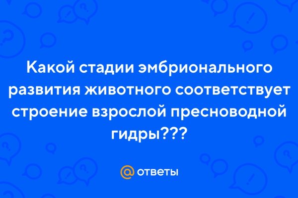 Darknet как войти