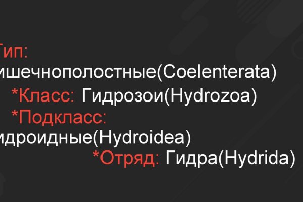 Kraken в россии