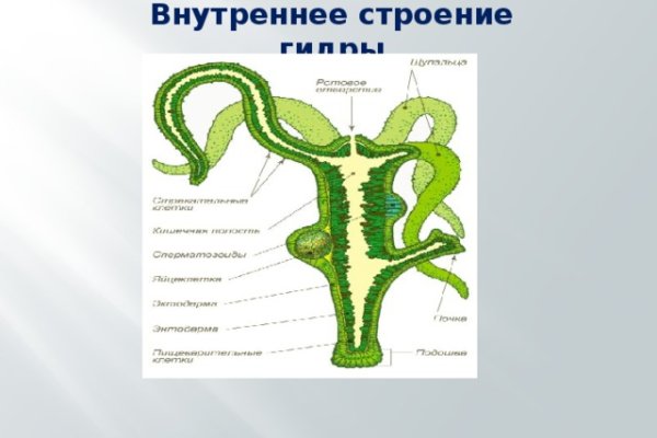 Где найти ссылку на кракен