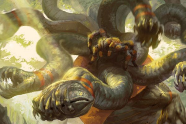 Kraken 5 at