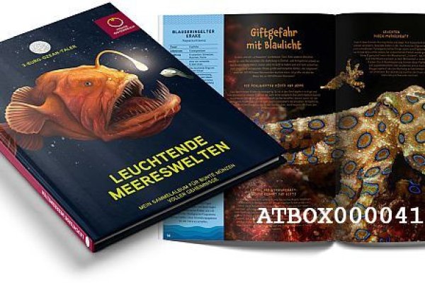 Kraken 23at