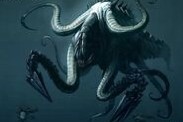 Kraken 13 at
