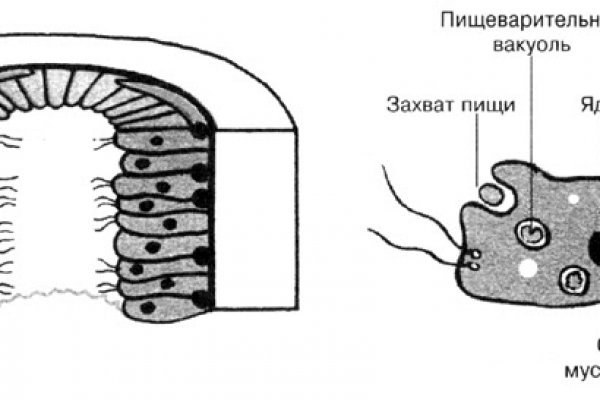 Кракен шоп это