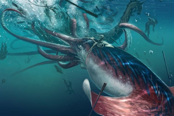 Kraken 12 at