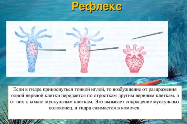 Kraken даркнет gigageek ru